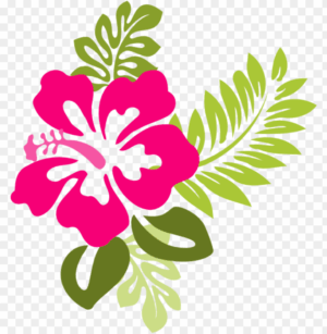 clipart-clipart-hibiscus-flowers-a-pink-flower-with-green-leaves-on-white-background