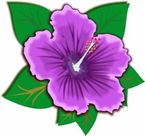 clipart-clipart-hibiscus-flowers-a-purple-flower-with-green-leaves-and-red-center