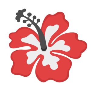 clipart-clipart-hibiscus-flowers-a-red-flower-with-white-petals