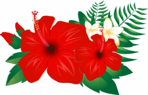 clipart-clipart-hibiscus-flowers-two-red-flowers-with-green-leaves
