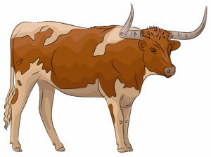 clipart-clipart-longhorn-a-brown-and-white-cow-standing-on-black-background