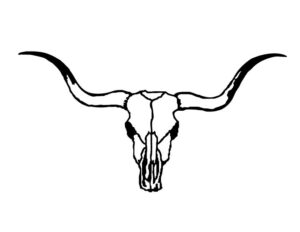 clipart-clipart-longhorn-a-bull-skull-with-long-horns