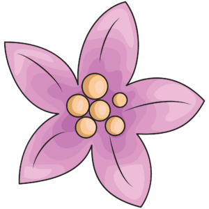clipart-clipart-pink-flowers-a-flower-with-two-petals