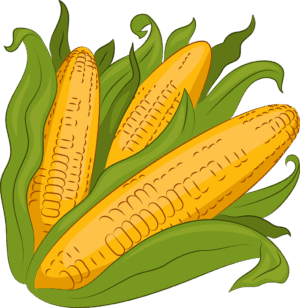 clipart-corn-clipart-a-bunch-of-corn
