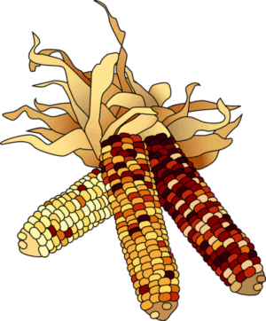 clipart-corn-clipart-corn-clipart