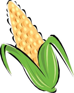 clipart-corn-clipart-corn-clipart