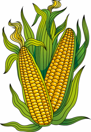 clipart-corn-clipart-corn-clipart-four
