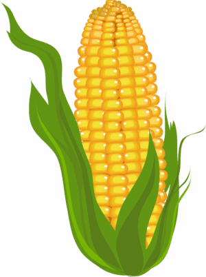 clipart-corn-clipart-corn-clipart-two