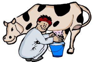 clipart-cow-a-man-milking-cow