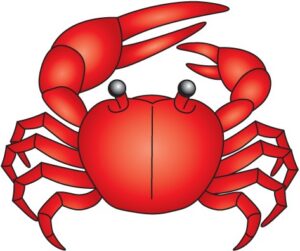 clipart-crab-clipart-a-red-crab-with-black-eye