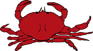 clipart-crab-clipart-a-red-crab-with-claws-on-it-s-back