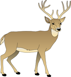 clipart-deer-a-deer-standing-in-the-dark