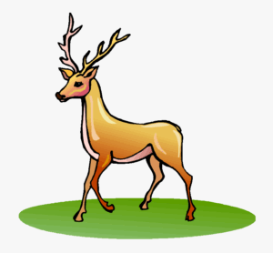clipart-deer-a-deer-standing-on-green-field