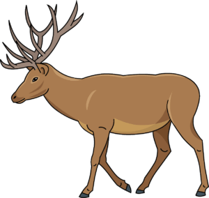 clipart-deer-a-deer-walking-on-black-background