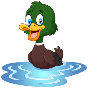 clipart-duck-a-duck-with-its-tongue-out-in-the-water