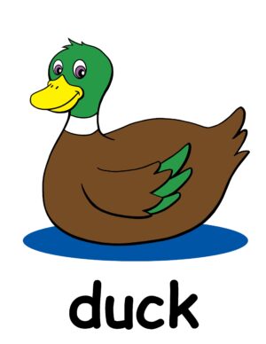 clipart-duck-a-duck-with-the-word