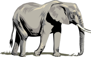 clipart-elephant-an-elephant-standing-on-the-ground