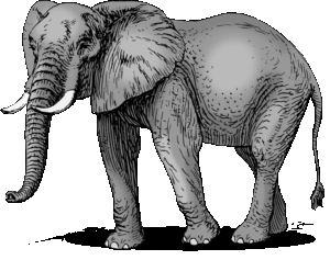 clipart-elephant-an-elephant-with-a-long-trunk-and-tusky-tusk