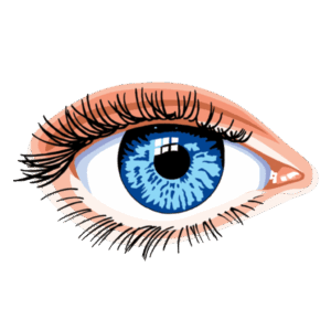 clipart-eyes-a-blue-eye-with-long-eyelashes