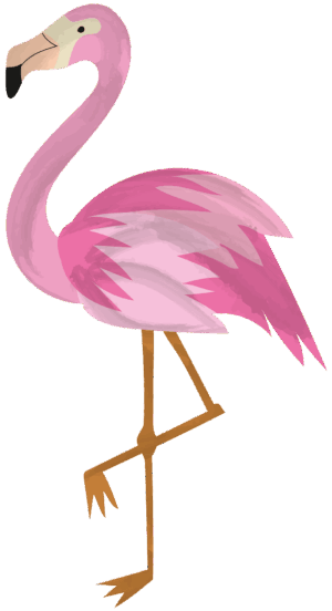 clipart-flamingo-clipart-a-pink-flaming-standing-on-black-background