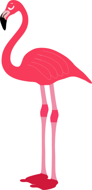 clipart-flamingo-clipart-a-pink-flaming-standing-on-black-background-three
