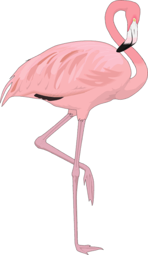 clipart-flamingo-clipart-a-pink-flaming-standing-on-its-hinds