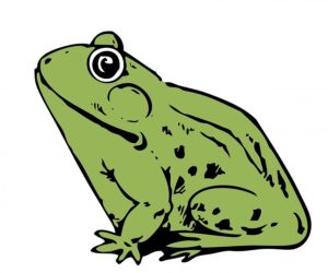 clipart-frog-a-frog-with-big-eyes
