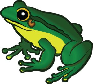 clipart-frog-clipart-a-green-frog-with-yellow-spots