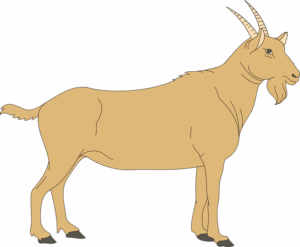 clipart-goat-clipart-a-goat-standing-on-black-background