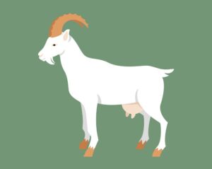 clipart-goat-clipart-a-goat-standing-on-green-background