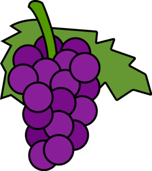 clipart-grapes-clipart-a-bunch-of-grapes