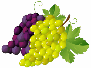clipart-grapes-clipart-a-bunch-of-grapes-two