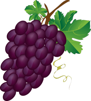 clipart-grapes-clipart-grapes-clipart-two