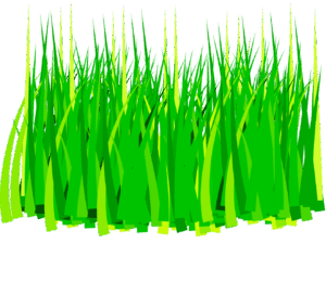 clipart-grass-a-green-grass-field-with-black-background
