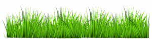 clipart-grass-grass-png-clipart-free-images