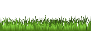 clipart-grass-green-grass-on-black-background