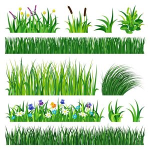 clipart-grass-set-of-green-grass-and-flowers