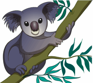 clipart-koalas-clipart-a-koalaa-sitting-on-branch