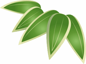 clipart-leaves-a-green-leaf-two