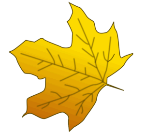 clipart-leaves-a-yellow-maple-leaf