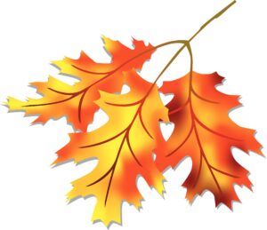clipart-leaves-clipart-a-pair-of-orange-maple-leaves