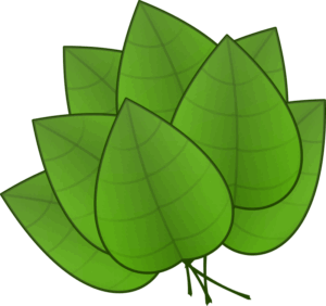 clipart-leaves-clipart-three-green-leaves-two