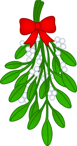 clipart-mistletoe-clipart-a-bunch-of-mist-with-red-bow