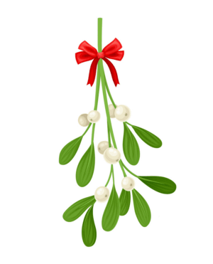 clipart-mistletoe-clipart-a-bunch-of-mist-with-red-bow-two