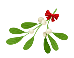 clipart-mistletoe-clipart-a-bunch-of-olives-with-red-bow