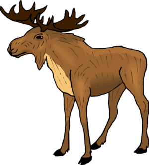 clipart-moose-clipart-a-moose-standing-in-the-dark