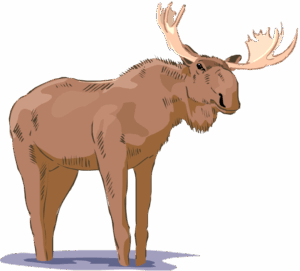 clipart-moose-clipart-a-moose-standing-on-black-background