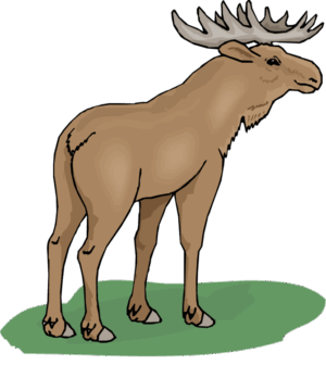 clipart-moose-clipart-a-moose-standing-on-the-ground