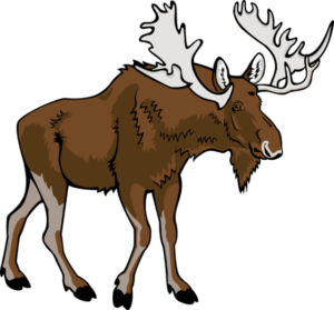 clipart-moose-clipart-a-moose-with-ant-ants-on-its-back