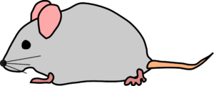 clipart-mouse-clipart-a-gray-mouse-with-pink-ears-two